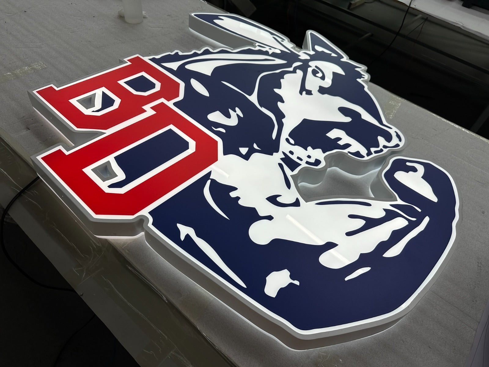 Two Custom Sign For Bray-Doyle Public Schools