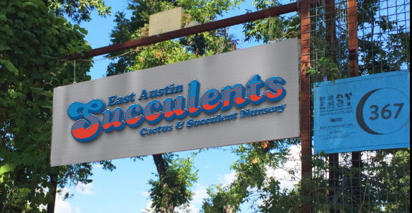 Custom Metal Sign For East Austin Succulents - Julie