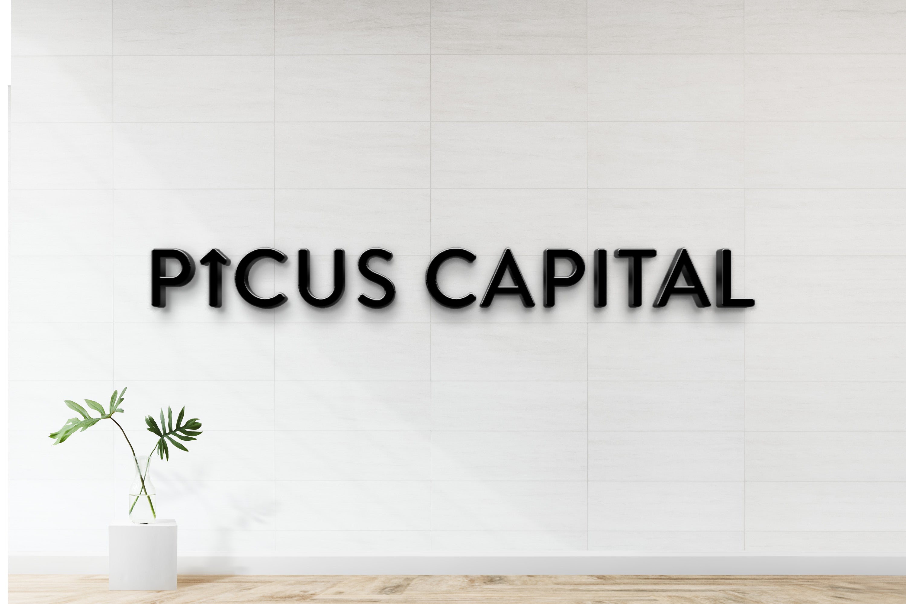 Installation For Picus Capital Sign