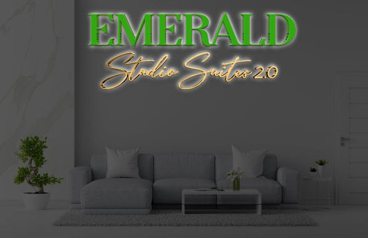 Custom Metal Backlit Sign For David