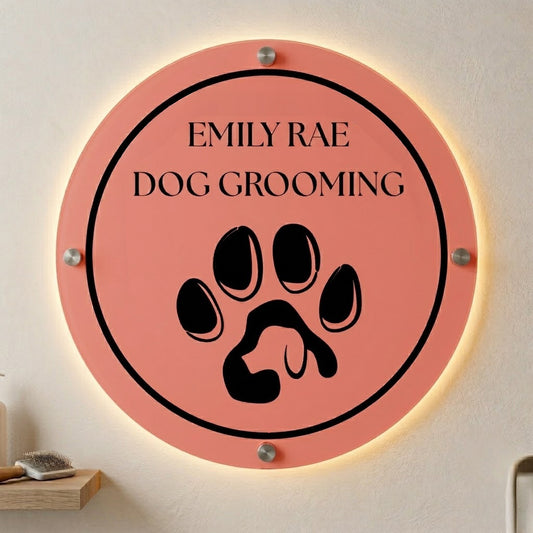 Custom Acrylic Backlit Sign for Emily